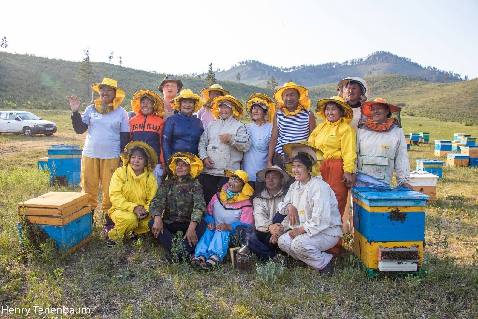 bees mongolia