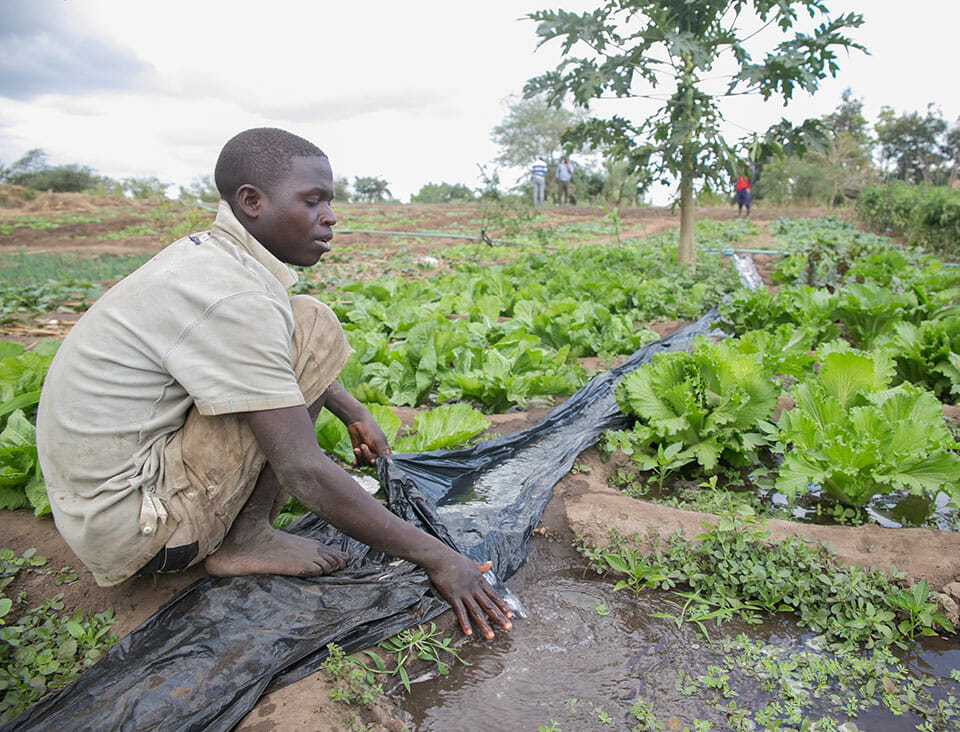 Food Security