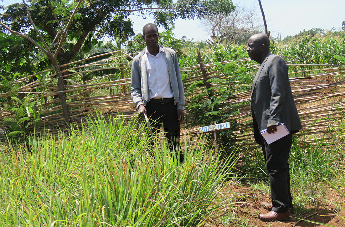 Masaju-and-school-garden_TZ