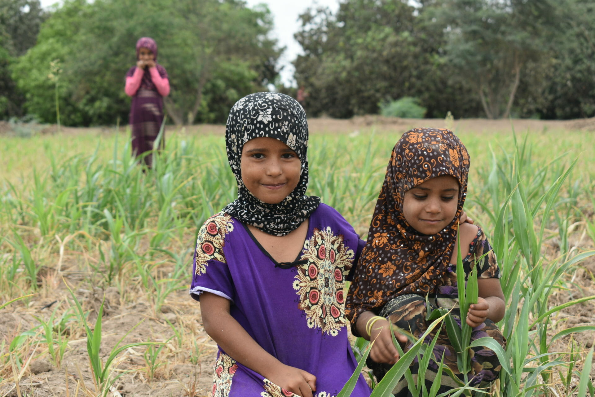 Photo taken at the time of HHs registration in Lahj Governorate for Agricultural Support under CREATE Program