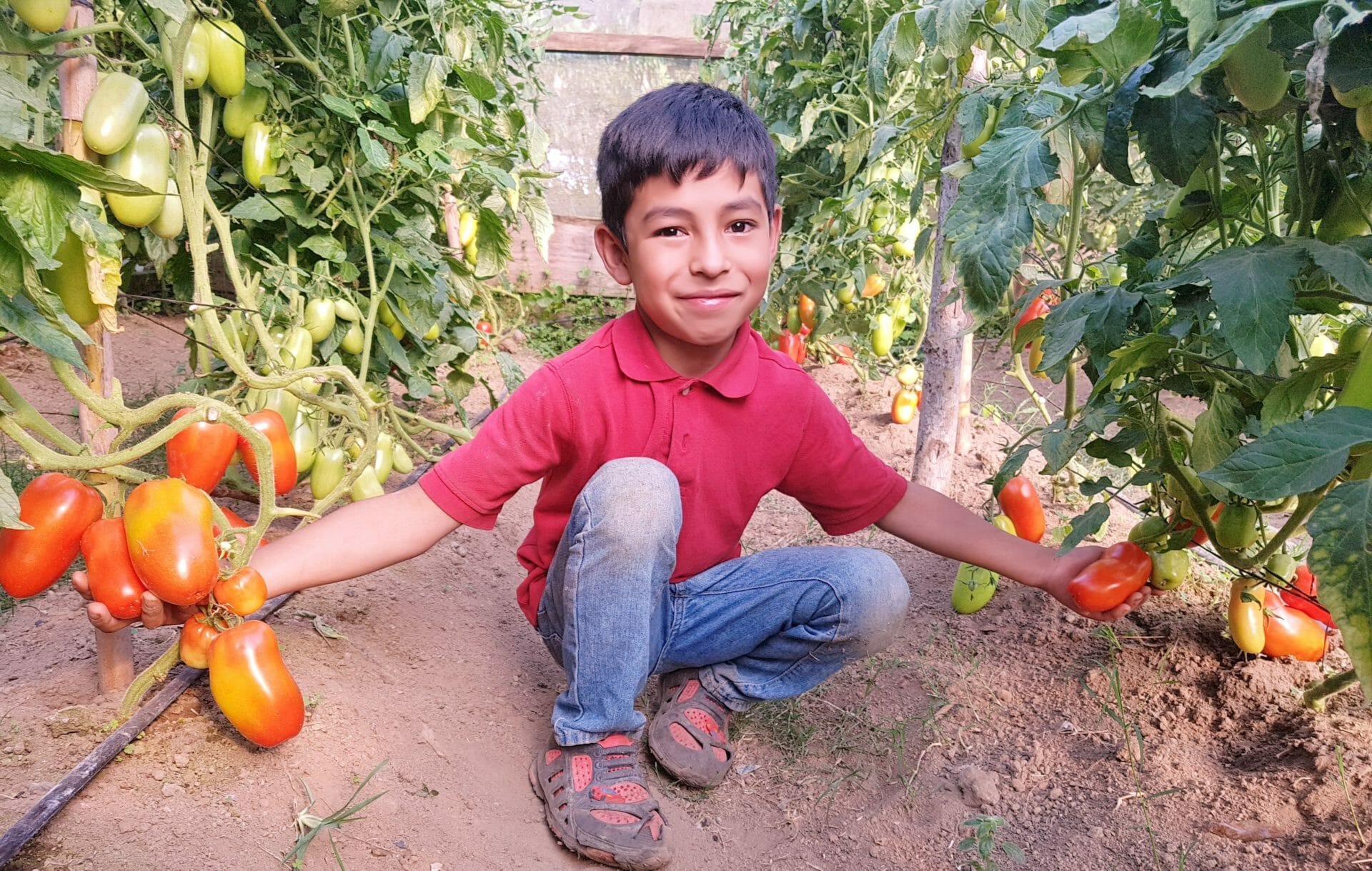 student garden